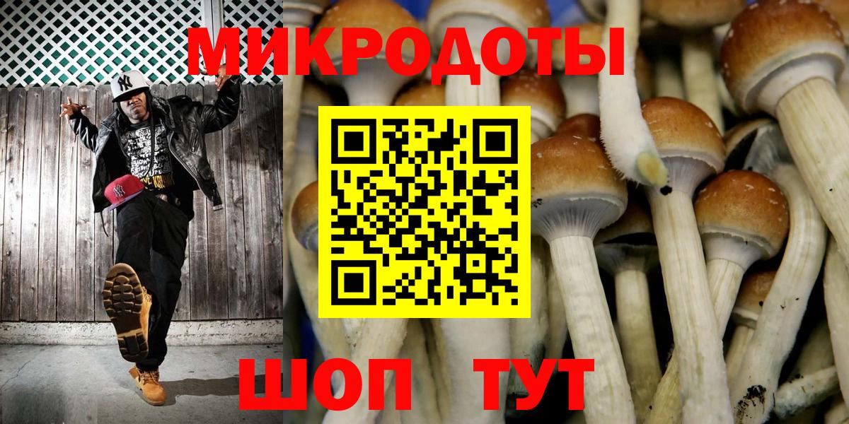 Галлюциногенные грибы мицелий  Вход с VPN  где купить   Карталы 
