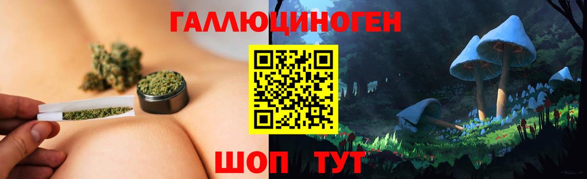 Псилоцибиновые грибы GOLDEN TEACHER Карталы